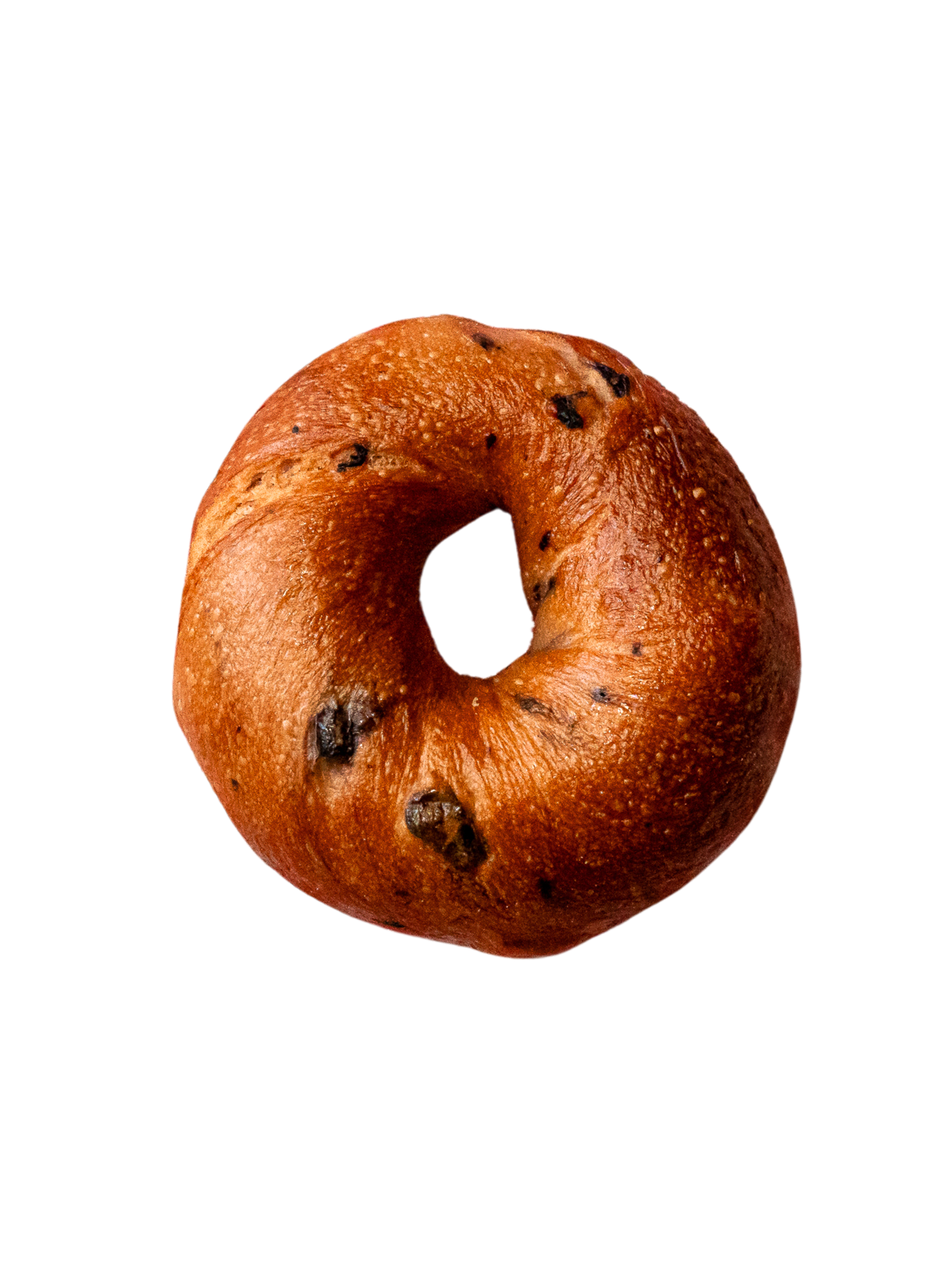 Blueberry Bagels